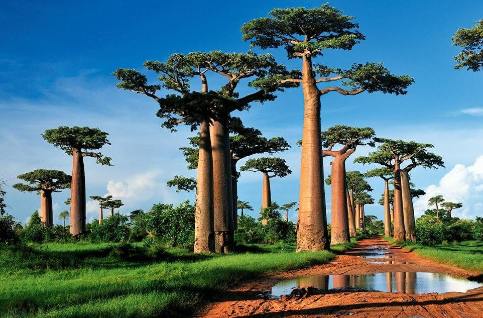 Climate in Madagascar
